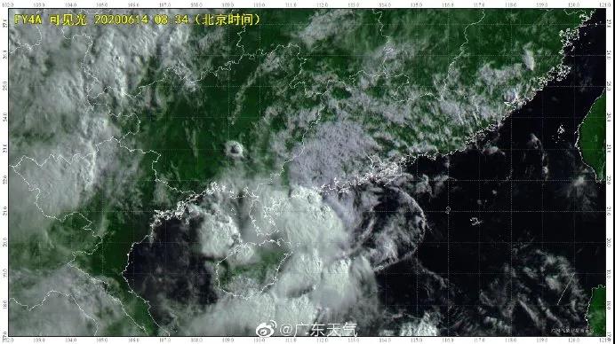 良種良法\臺(tái)風(fēng)來(lái)了，你的牛大力種植場(chǎng)準(zhǔn)備好了嗎？